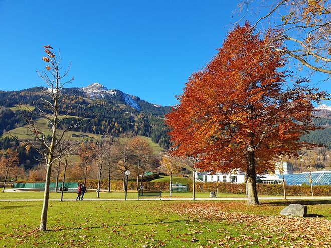 Schöner Novembertag