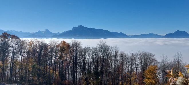 Salzburger Nebelsuppe