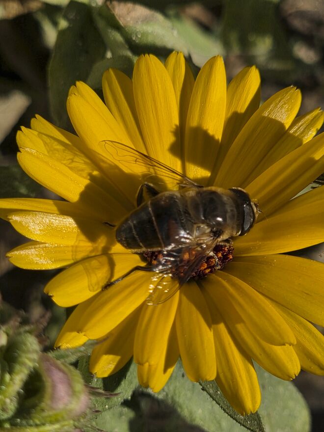 Grüße ans Bloggertreffen!