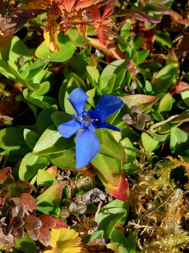 Will noch nicht schlafen gehen ....