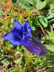 Allein auf weiter Flur  ...