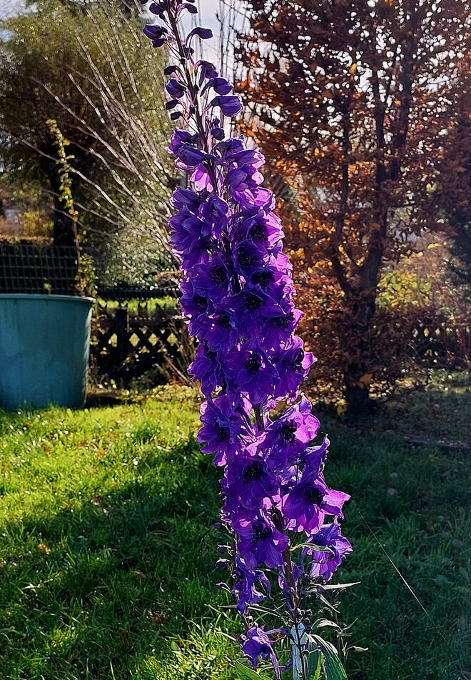 Einer, der lange bleiben kann, ....