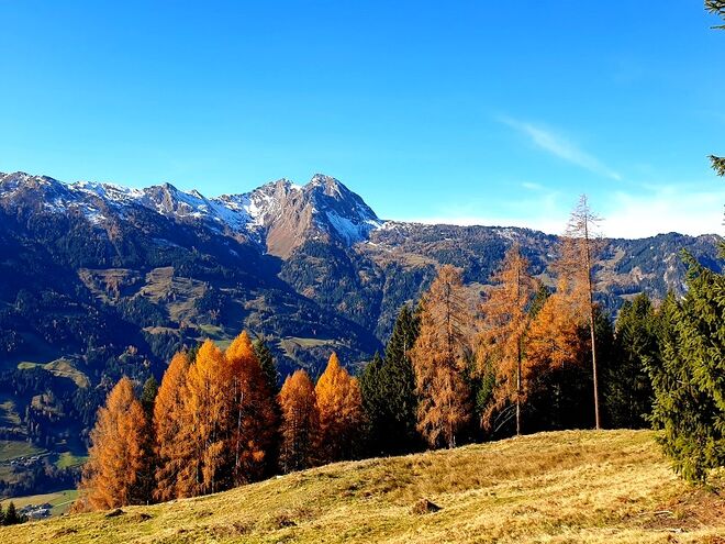 Nochmals ein herrlicher Novembertag
