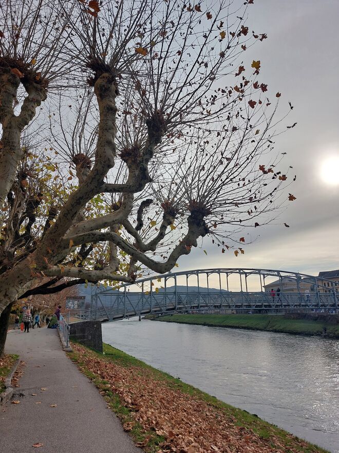 Filigran der Baum und auch die Brücke  ...
