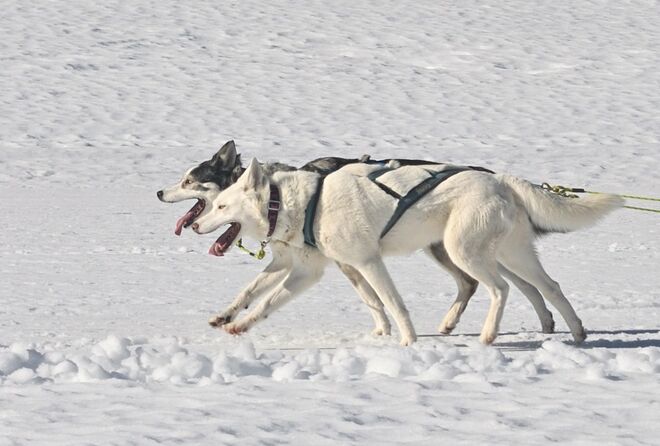  Gleichklang und Symmetrie