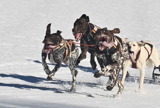 Kraft und Dynamik pur