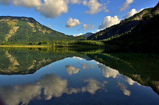 Morgensonne am Offensee 2