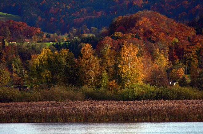 Herbststimmung am Wallersee
