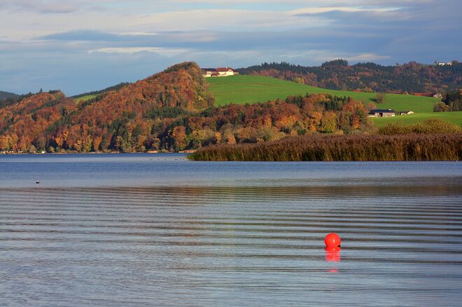 Herbstliche Farben am See 1