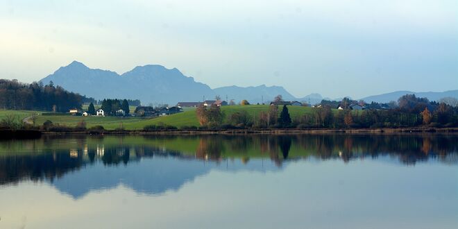 Wallersee in Morgenstimmung