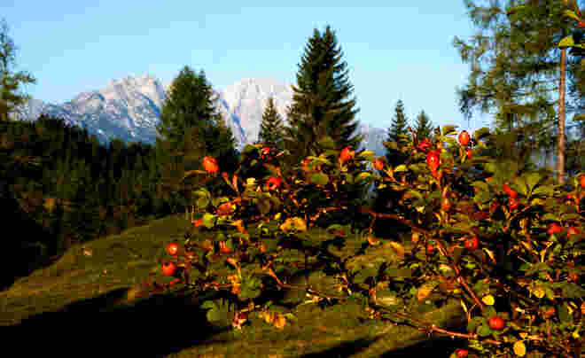 Herbst !
