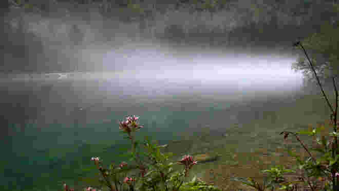 Frühnebel