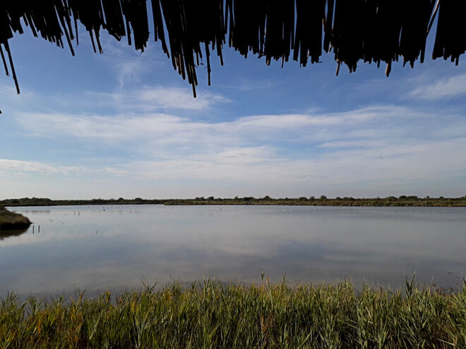 Naturreservat Marano Lagunare (3)