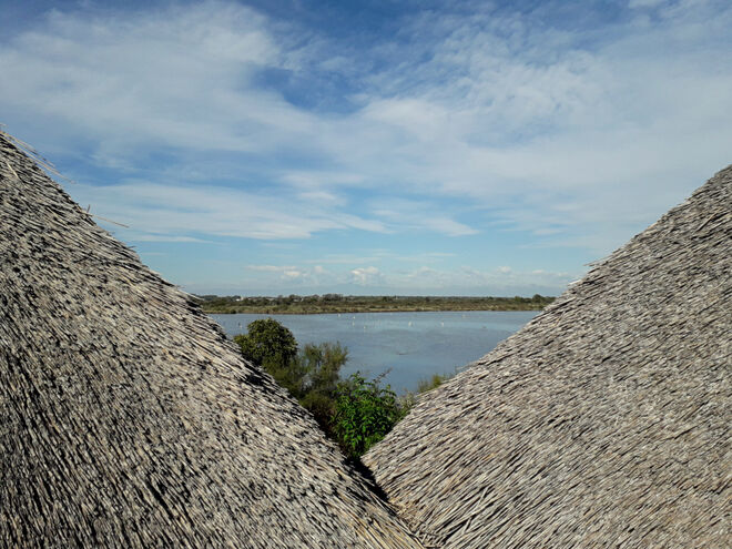 Naturreservat Marano Lagunare (2)