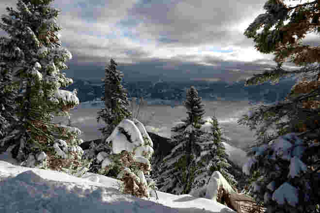 Winter...