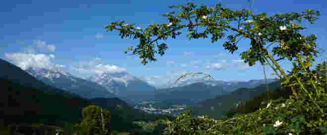 Nachbarblick