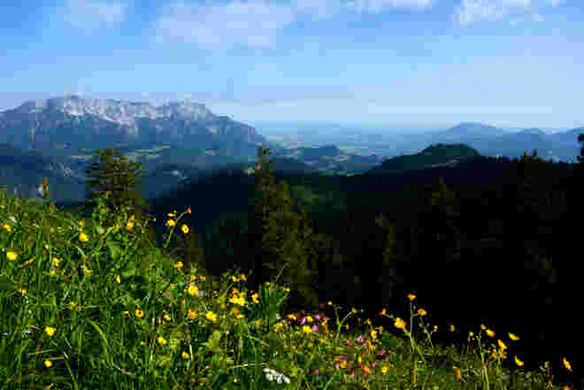 Ausblick vom Roßfeld