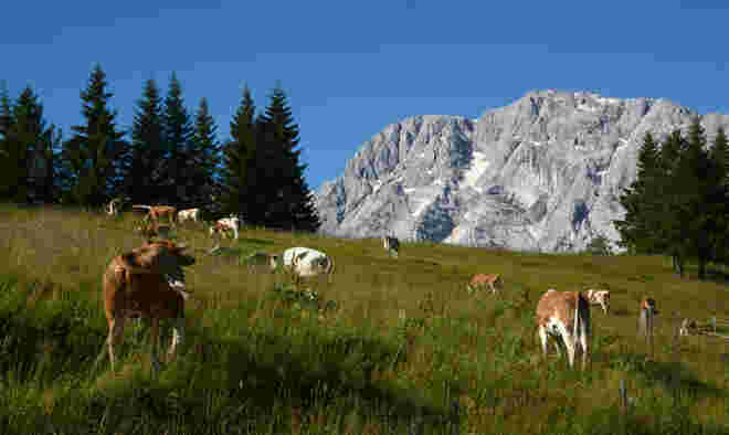 am Roßfeld