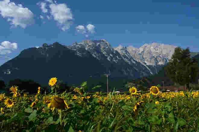 Sommergöllblick