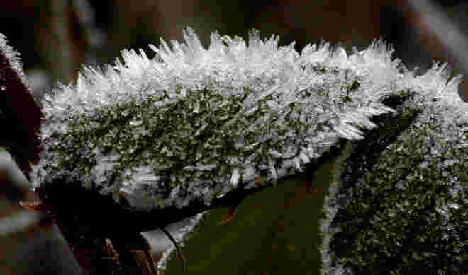 Eiskristalle