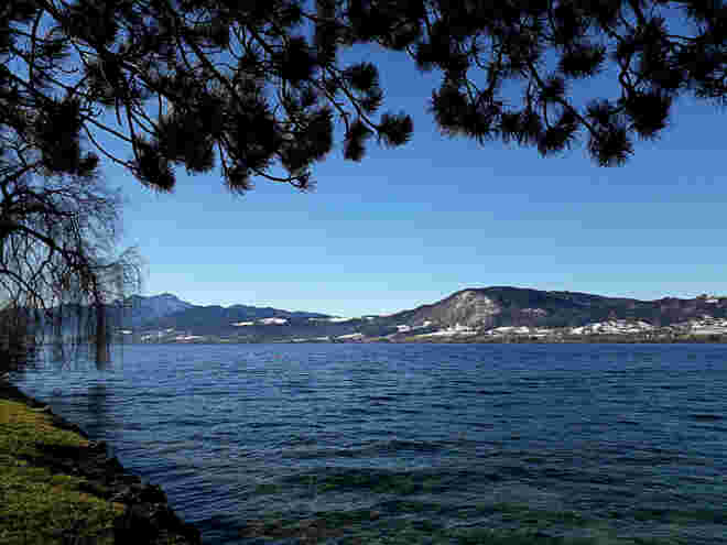Blick übern Attersee