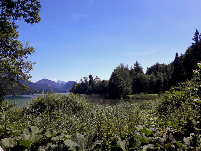 Schloss Fuschl versteckt sich noch