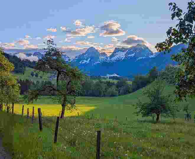 . . . allerletzte Sonne am Wieseneck . . . 