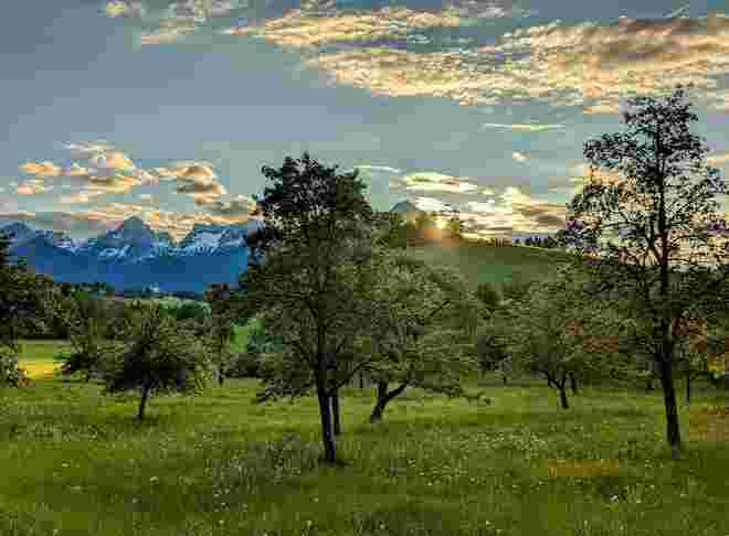 . . . allerletzte Sonne am Wieseneck . . .