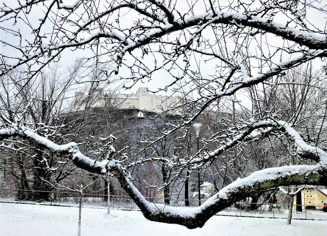 Durchblick - Festung