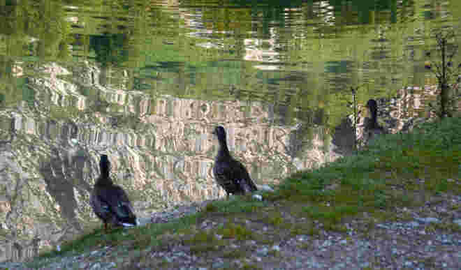 Seeblick