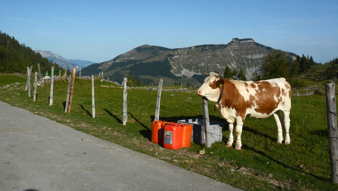 Warten auf "Heimkehrtaxi" !