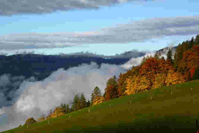 Schöner Herbst