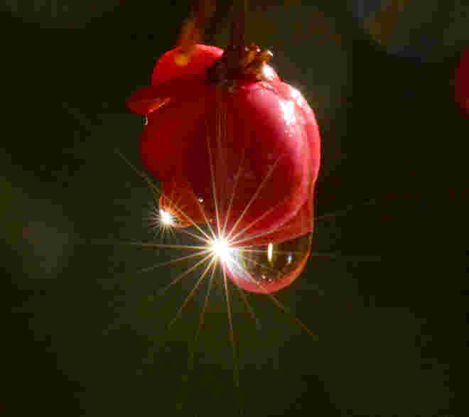 Herbstliches Strahlen