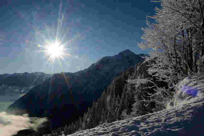 Winter