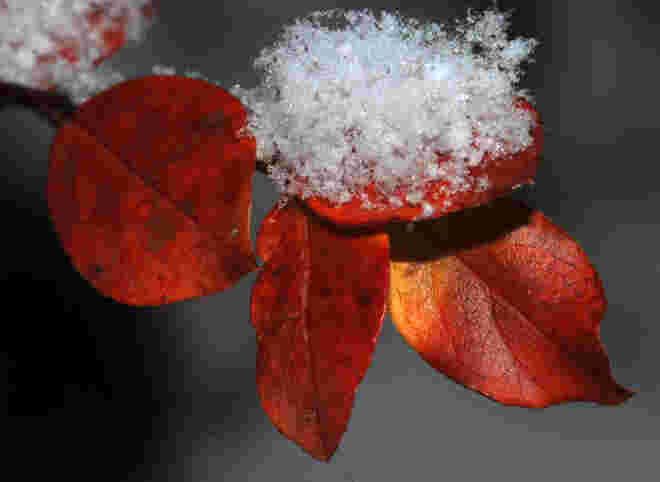 Herbst und Winter