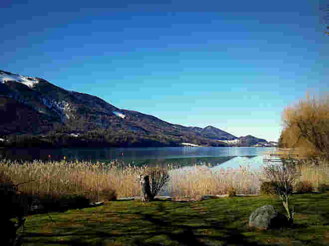 Frühling - Winter