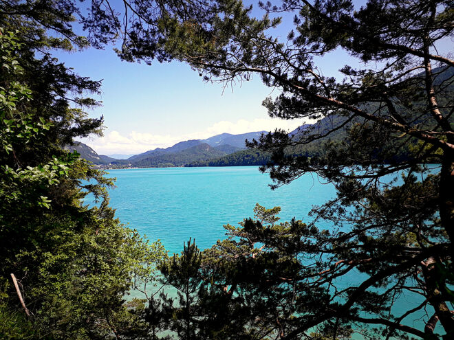 Türkis, türkiser, Fuschlsee!