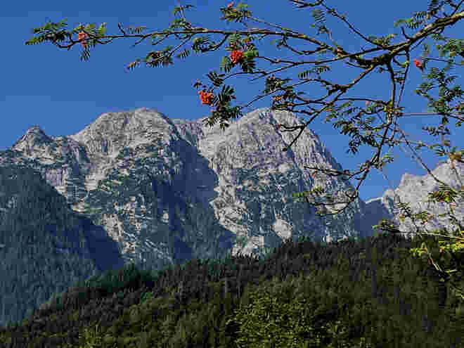 Freieck(Göllmassiv)