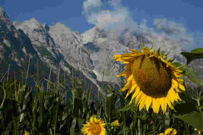 Schönwetterblick