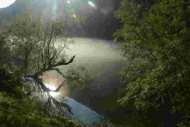 Morgennebel...