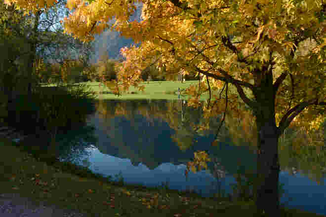 Herbst..