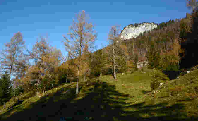 Spätherbst