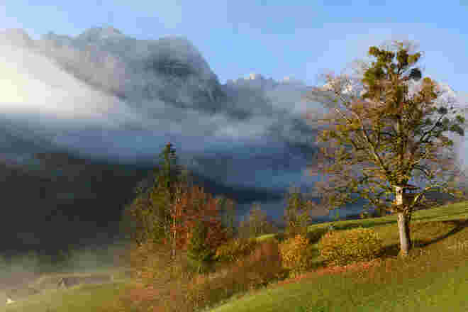 Traumstimmung...
