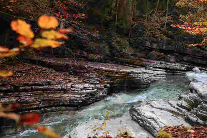 Herbststimmung in der Taugl