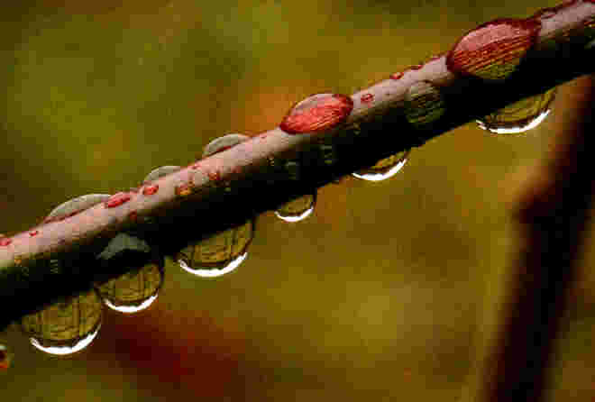 Regenwetter