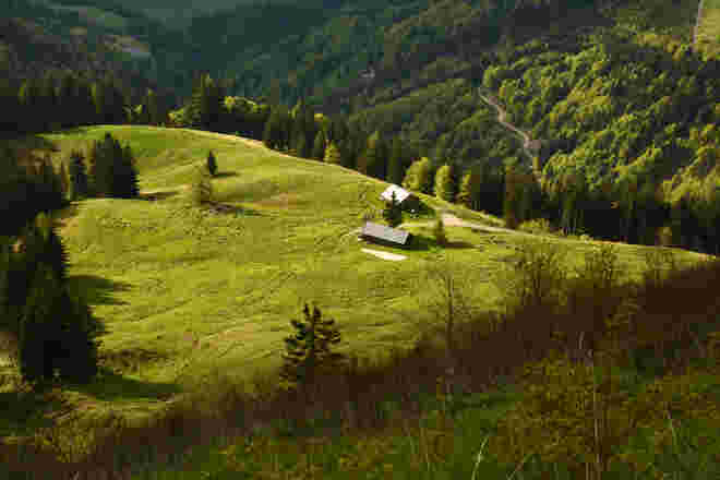 Im Sonnenschein