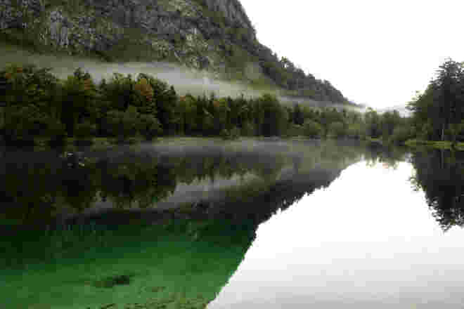 Nebelstimmung...