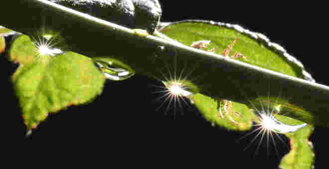Strahlende Wassertropfen