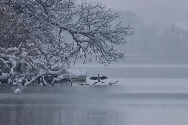 Erstmal die Flügel trocknen lassen