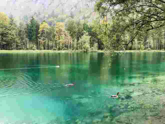 Bluntausee